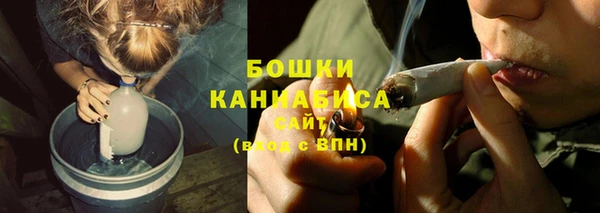 PSILOCYBIN Балабаново