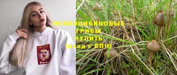 apvp Баксан