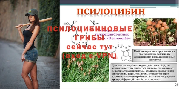 PSILOCYBIN Балабаново