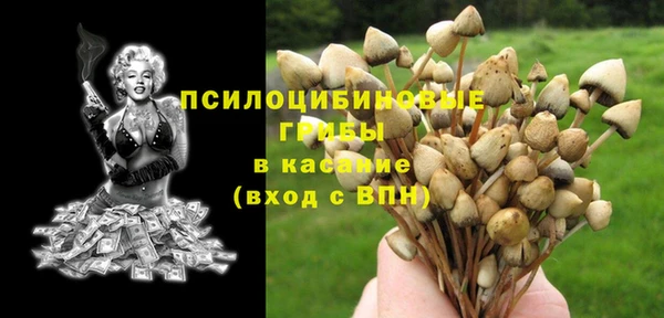 дживик Балахна