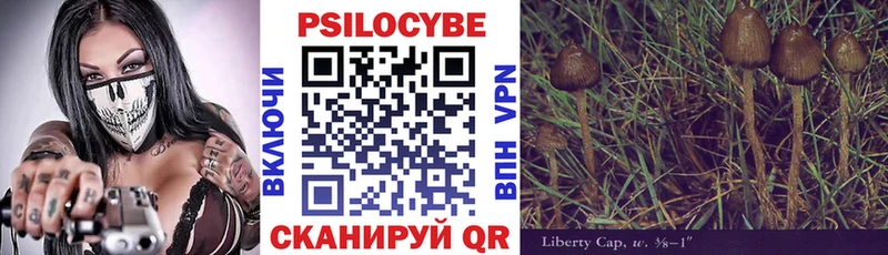 Псилоцибиновые грибы мухоморы  Долгопрудный 